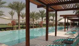 Desert Palm External