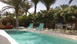 Desert Palm Exterior