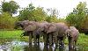 Ulusaba Private Game Reserve External