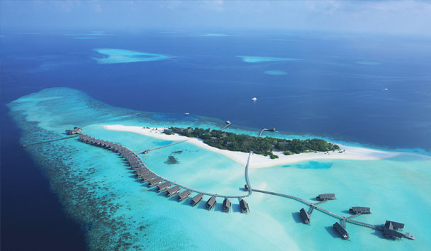 Cocoa Island