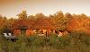 Madikwe Hills Private Game Lodge External