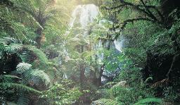 Treetops Lodge & Estate, New Zealand