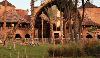 Disney's Animal Kingdom