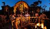 Disney's Animal Kingdom