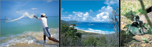 StVincent&TheGrenadines