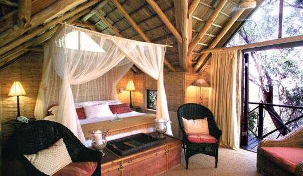 The Phantom Forest Eco Reserve