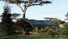 Serengeti Safari Camp External