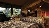 Serengeti Safari Camp Internal