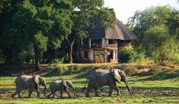 Luangwa Safari House, Zambia