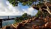Laucala External