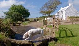 Bwthyn Trehilyn, United Kingdom