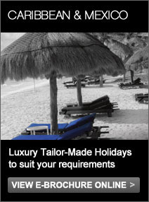 E-Brochure