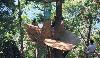 Soneva Kiri by Six Senses Exterior