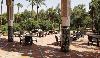 La Mamounia External