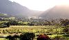 Mont Rochelle Hotel and Mountain Vineyards Exterior 