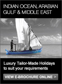 E-Brochure