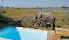 Vumbura Plains Camp External