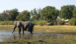 Zarafa Camp, Botswana