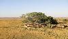 Shumba Camp External 