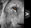 Africa 2012