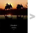 Africa 2013