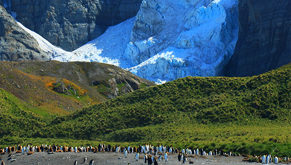 South Georgia