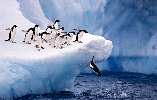 Polar Latitudes