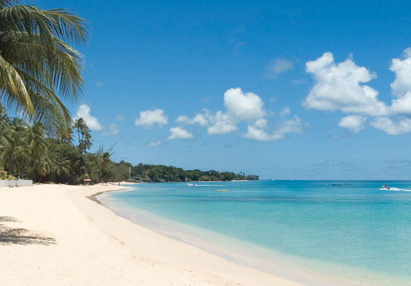 Barbados Office