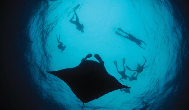 Scuba Diving at Four Seasons Resort Maldives at Landaa Giraavaru