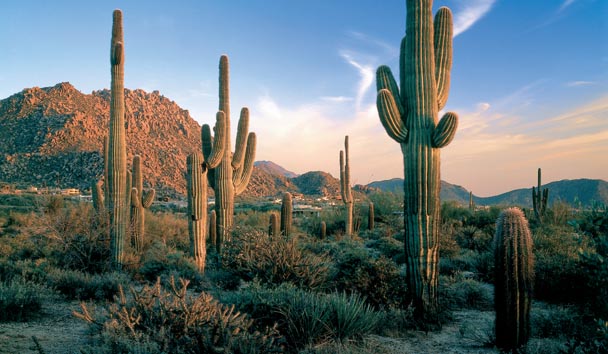 Hotel Experiences at Four Seasons Resort Scottsdale at Troon North