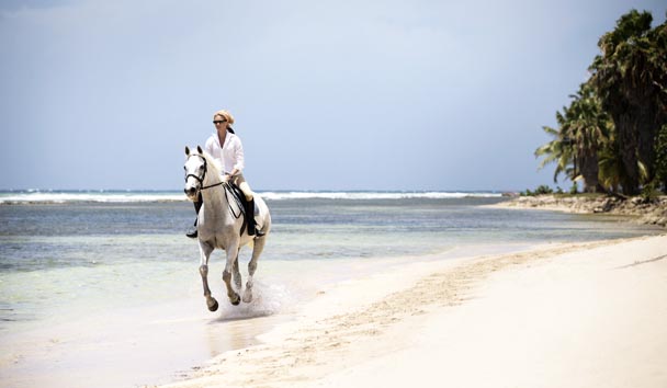 Hotel Experiences at Half Moon