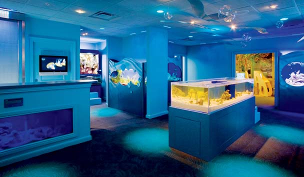 Luxury Family Holidays at The Ritz-Carlton, Naples