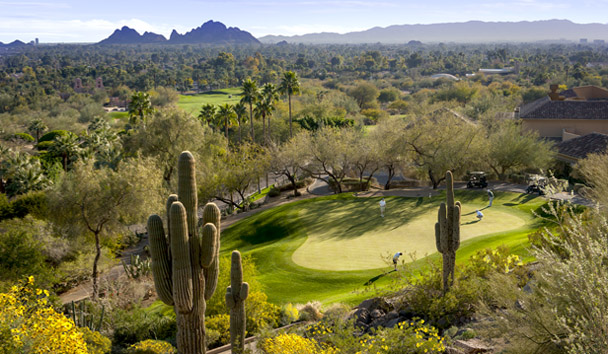 Culture & History at The Phoenician, a Luxury Collection Resort, Scottsdale