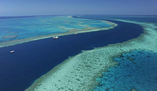 Scuba Diving at Qualia, Great Barrier Reef