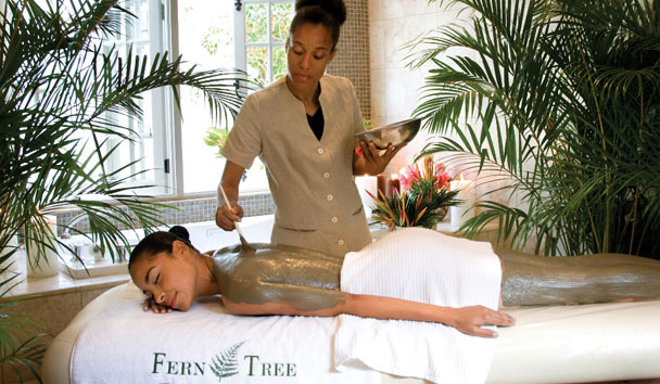 Spa Breaks at Half Moon