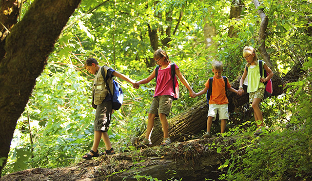 Luxury Family Holidays at Treetops Lodge & Estate