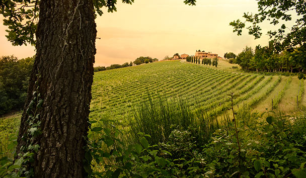 Hotel Experiences at Castello di Casole, A Belmond Hotel, Tuscany