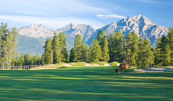 Golf at Fairmont Jasper Park Lodge