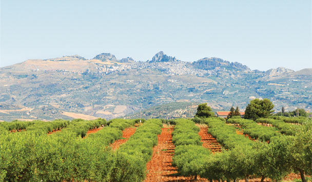 Hotel Experiences at Verdura Resort, a Rocco Forte Hotel