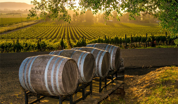 Hotel Experiences at Farmhouse Inn