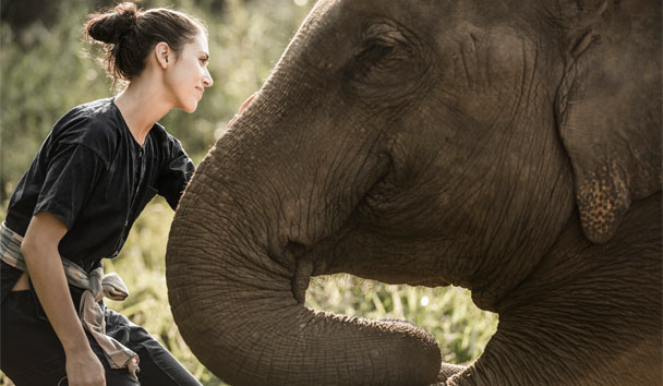 Wildlife Encounters at Four Seasons Tented Camp Golden Triangle