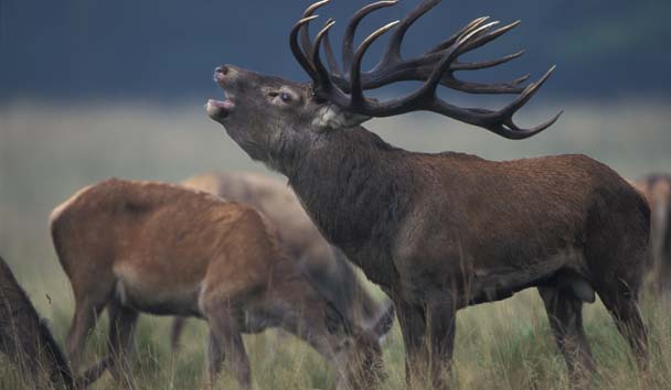 Adventure Travel at Minaret Station