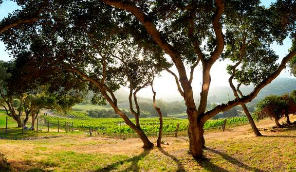 Hotel Experiences at Carmel Valley Ranch