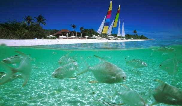 Scuba Diving at Amanpulo
