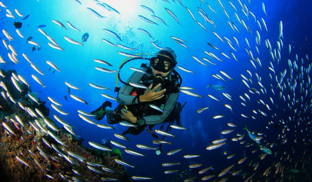 Scuba Diving at Six Senses Ninh Van Bay