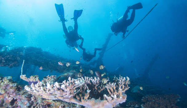 Scuba Diving at Sani Asterias