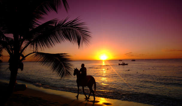 Hotel Experiences at Four Seasons Resort and Residences Anguilla