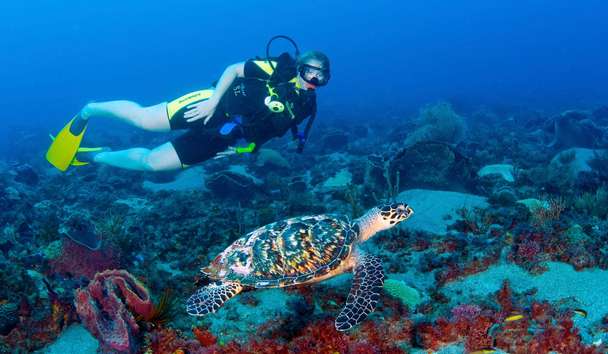 Scuba Diving at Jade Mountain