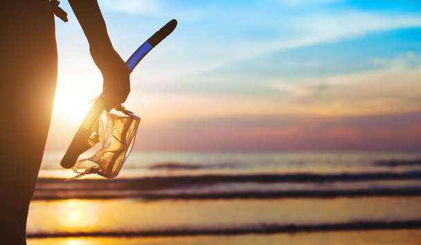 Wildlife Encounters at Four Seasons Resort Seychelles