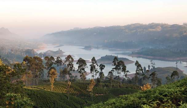 Culture & History at Ceylon Tea Trails